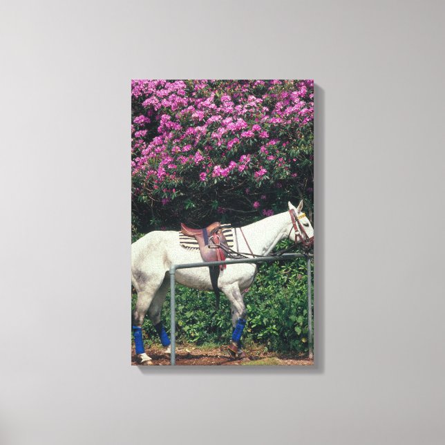 23893981 CANVAS PRINT (Front)