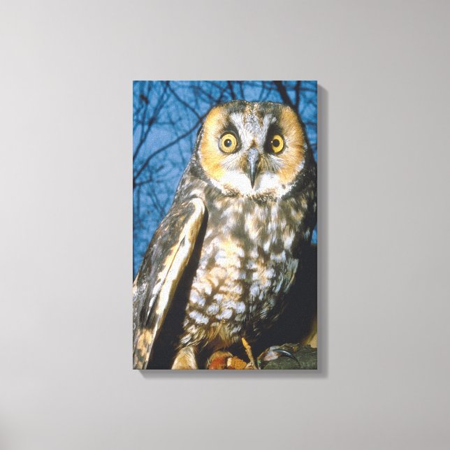 23897251 CANVAS PRINT (Front)