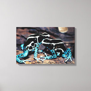 23898179 CANVAS PRINT