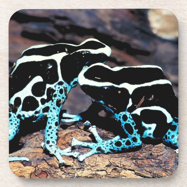 23898179 COASTER (Front)