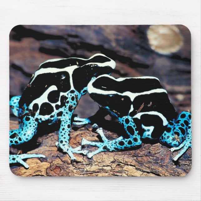 23898179 MOUSE MAT (Front)