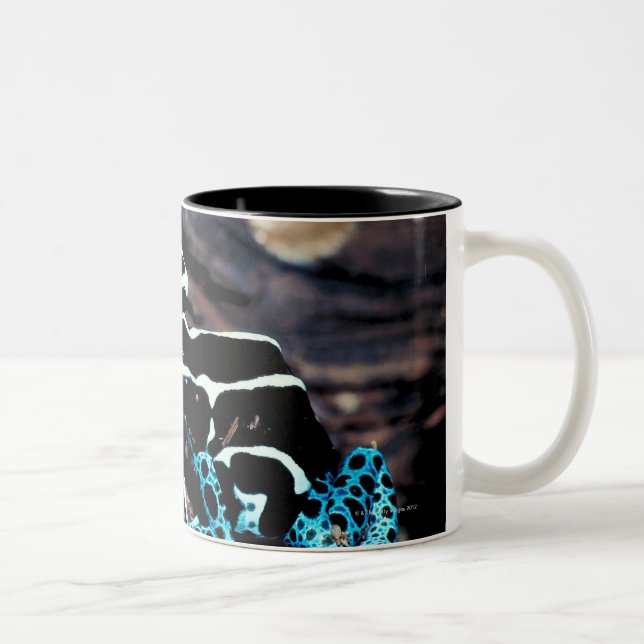 23898179 Two-Tone COFFEE MUG (Right)