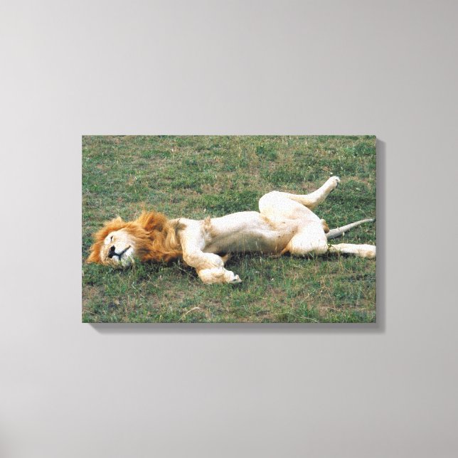 23899172 CANVAS PRINT (Front)