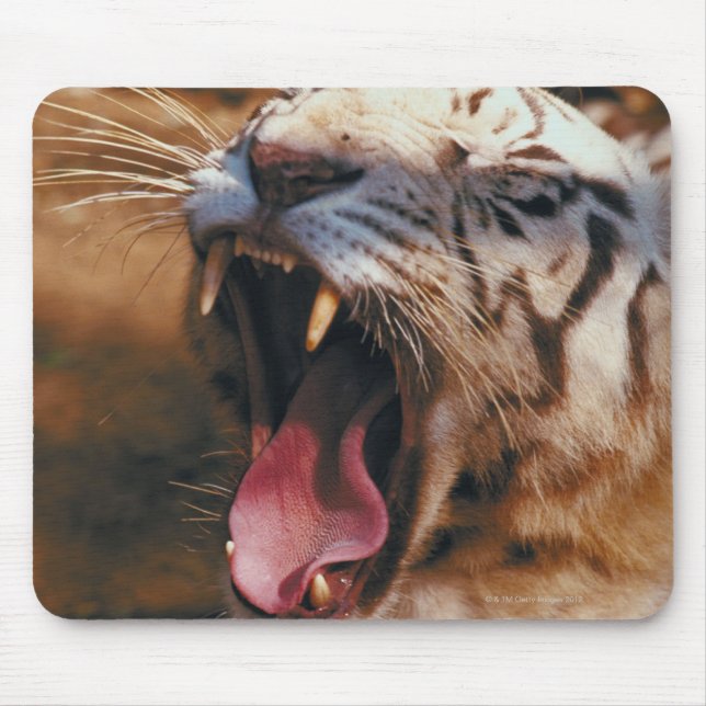 23899234 MOUSE MAT (Front)