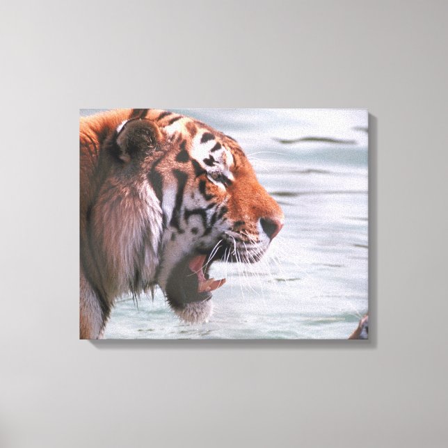 23899262 CANVAS PRINT (Front)