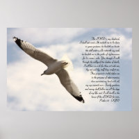 23rd Psalm Biblical Verse with Soaring Sea Gull