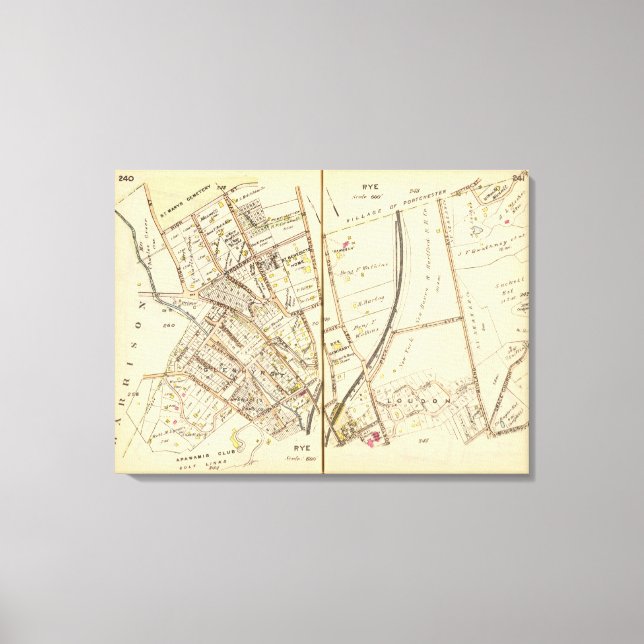 240241 Rye Canvas Print (Front)