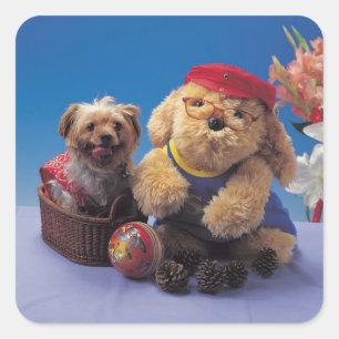 24095241 SQUARE STICKER