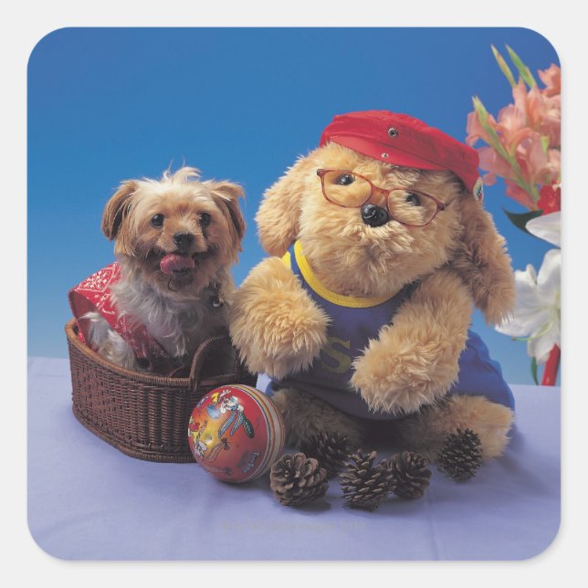 24095241 SQUARE STICKER (Front)