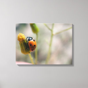 24102385 CANVAS PRINT