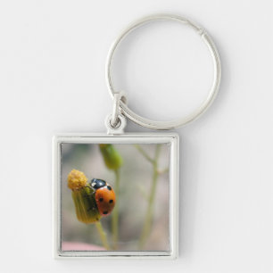 24102385 KEY RING