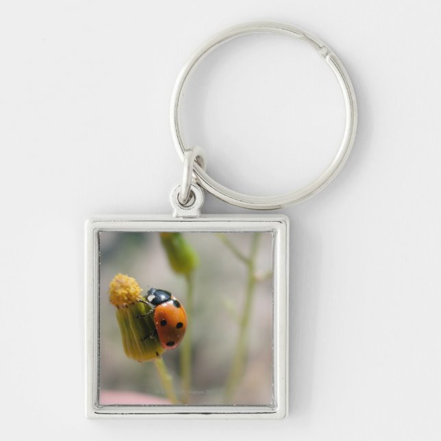 24102385 KEY RING (Front)