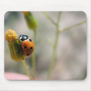 24102385 MOUSE MAT