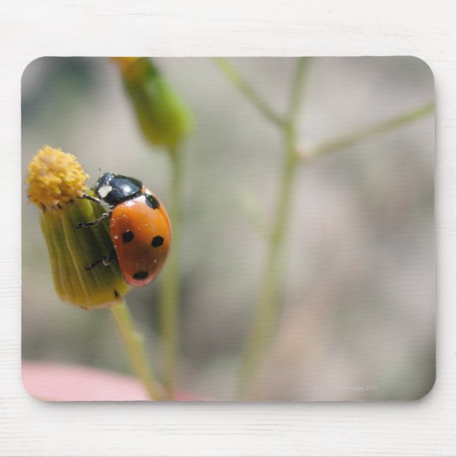 24102385 MOUSE MAT (Front)