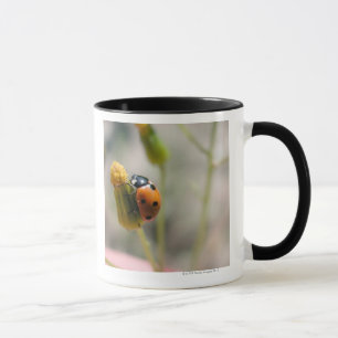 24102385 MUG