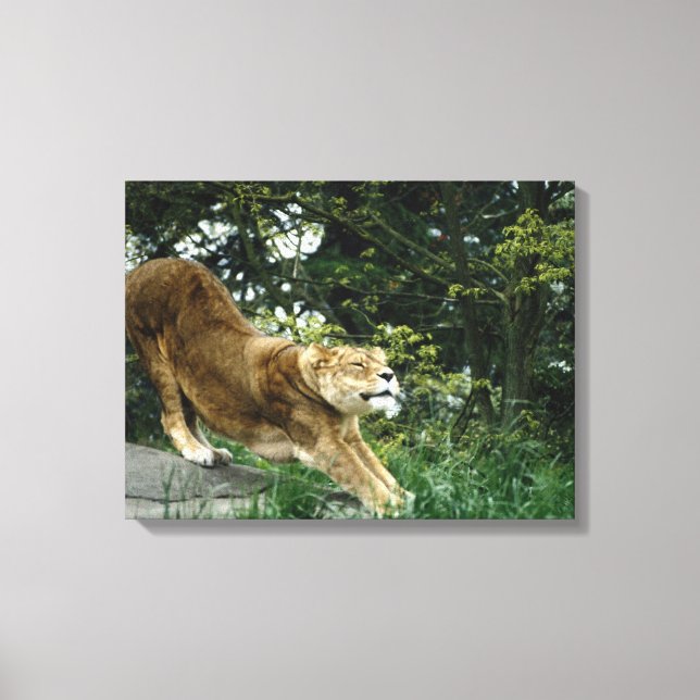 24114343 CANVAS PRINT (Front)