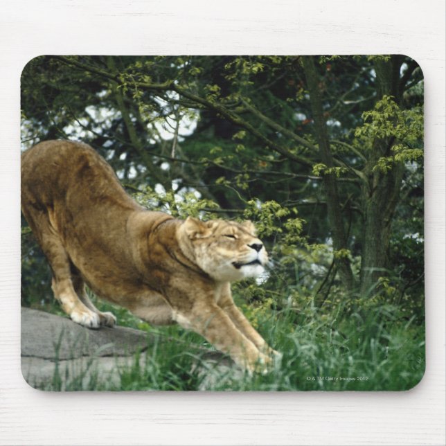 24114343 MOUSE MAT (Front)
