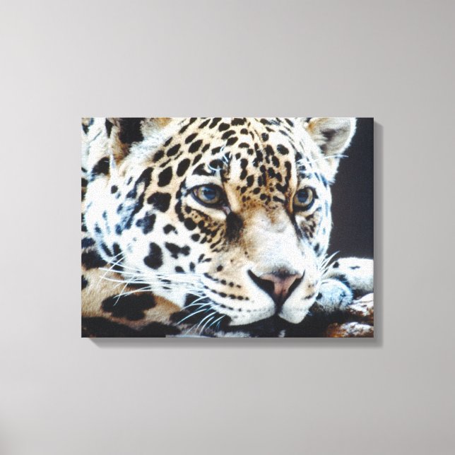 24114363 CANVAS PRINT (Front)