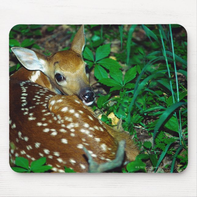 24114390 MOUSE MAT (Front)