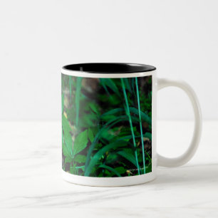 24114390 Two-Tone COFFEE MUG