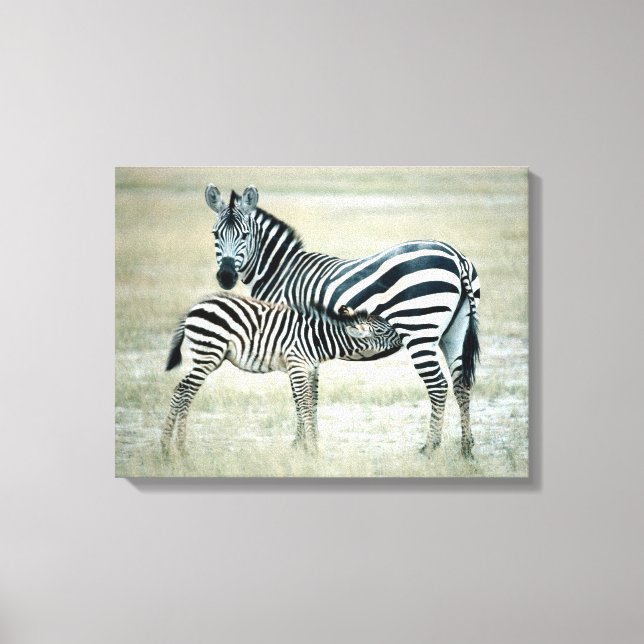 24114480 CANVAS PRINT (Front)