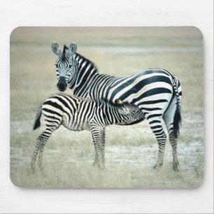 24114480 MOUSE MAT