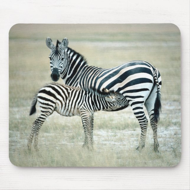 24114480 MOUSE MAT (Front)