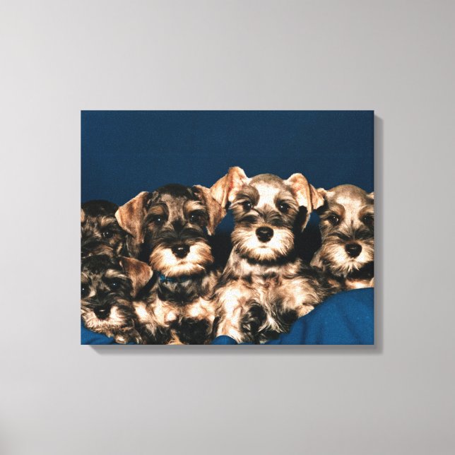24117057 CANVAS PRINT (Front)