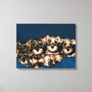 24117057 CANVAS PRINT