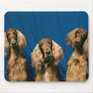 24119671 MOUSE MAT