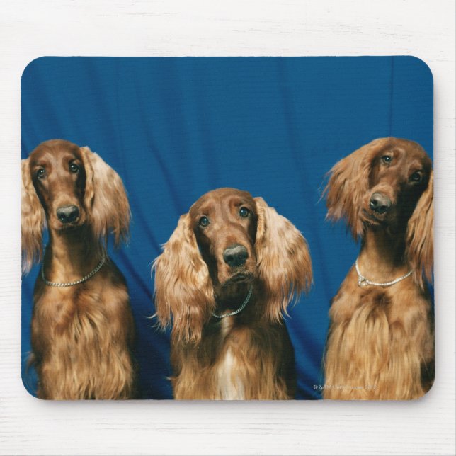 24119671 MOUSE MAT (Front)