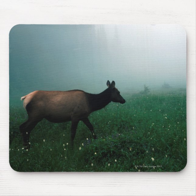 24121885 MOUSE MAT (Front)