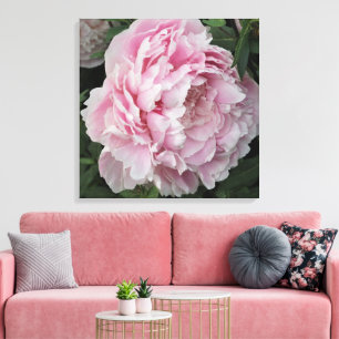 24"x24" Pink Peony Canvas Print
