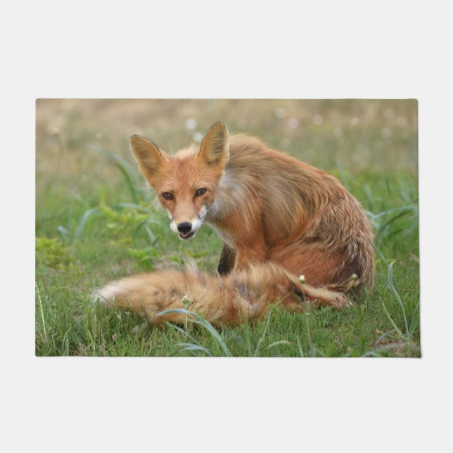 24" x 36" Door Mat of fox (Front)