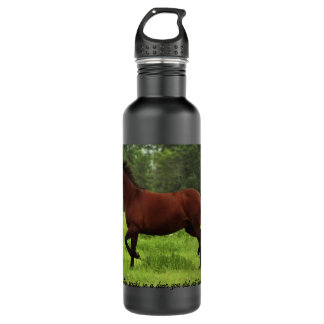 24oz. 710 ml water bottle