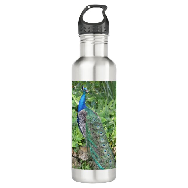 24oz Stainless Steel Florida Peacock Water Bottle (Front)