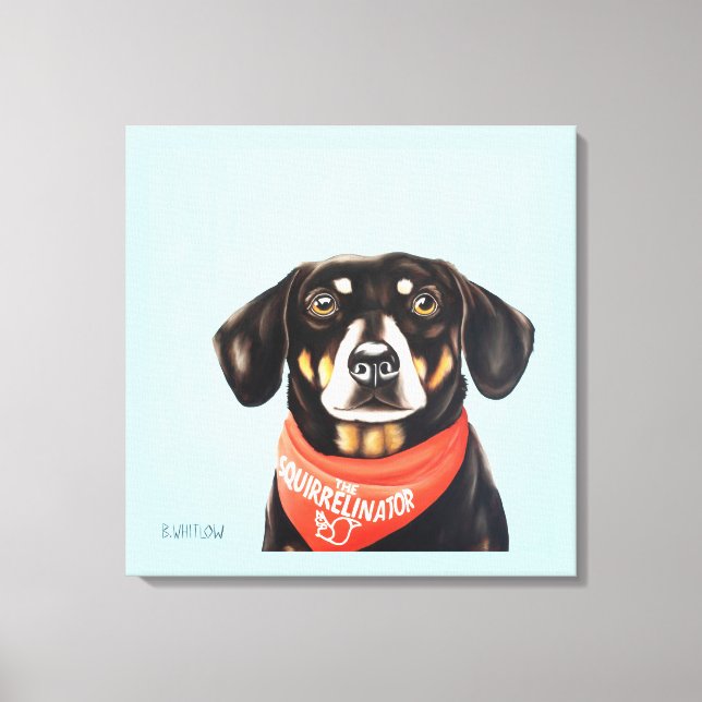 24x24 Socks the Dachshund Canvas Print (Front)