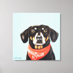 24x24 Socks the Dachshund Canvas Print