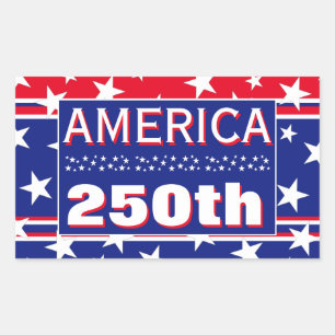 250 AMERICA RECTANGULAR STICKER