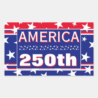 250 AMERICA RECTANGULAR STICKER