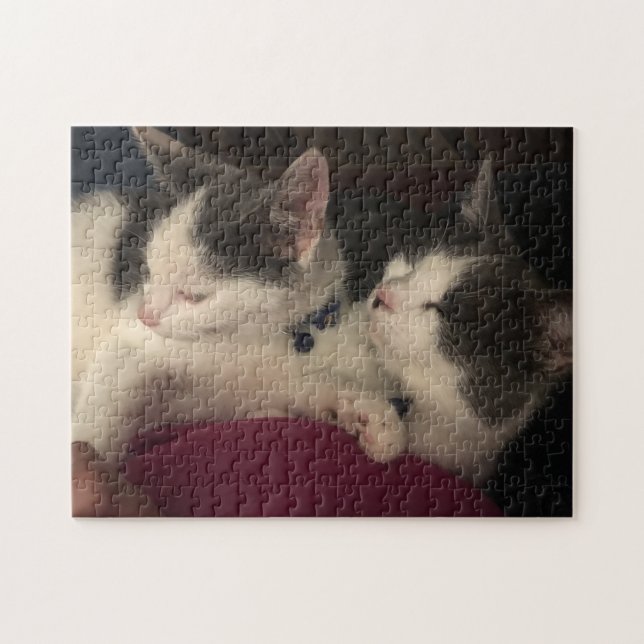 252 piece puzzle (Horizontal)