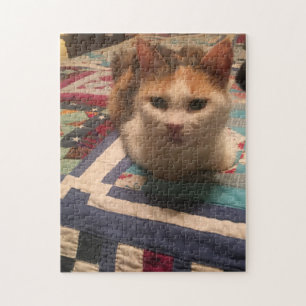 252 piece puzzle