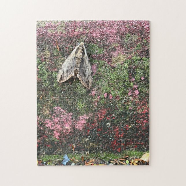 252 piece puzzle (Vertical)