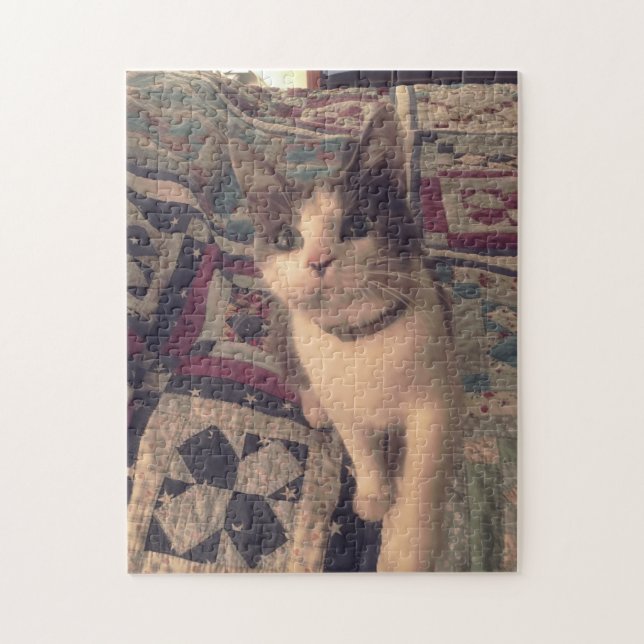 252 piece puzzle (Vertical)