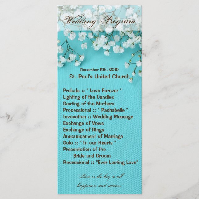 25 4x9 Wedding Program Babys Breath Spring Flower Programme (Front)