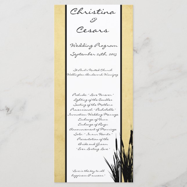 25 4x9 Wedding Program Cattail/Dragonfly Silhouett Programme (Front)
