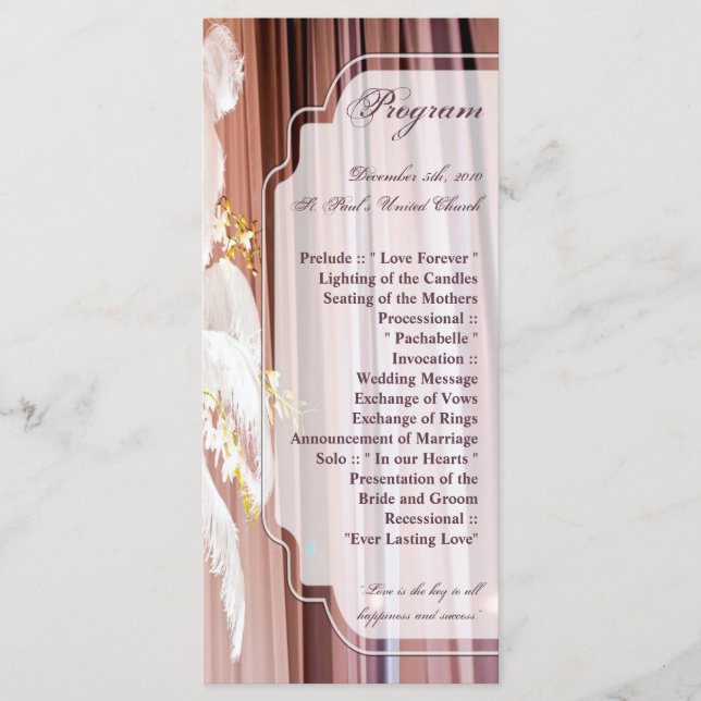 25 4x9 Wedding Program Feather Centre Piece Glam Programme (Front)