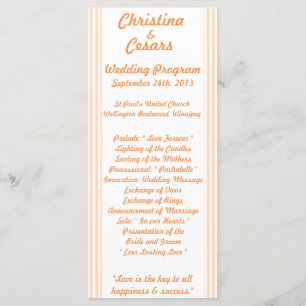 25 4x9 Wedding Program Love Birds Peach Stripes Programme