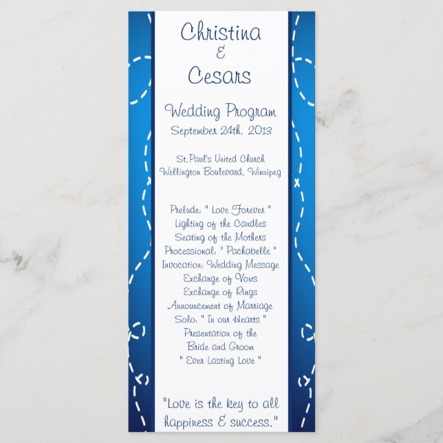 25 4x9 Wedding Program Paper Plane Blue Swirl Loop Programme (Front)