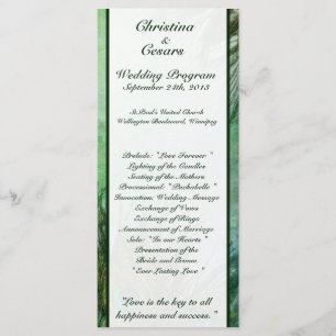 25 4x9 Wedding Program Peacock Green Feathers Programme